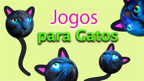 jogo pra gato,jogos de gato grátis